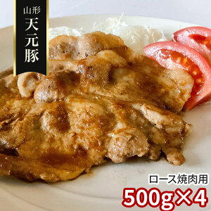 �R�` �V���� ���[�X�ē��p500g×4 �ؓ��y���������z / ������ �ʔ� �v���[���g �M�t�g �������� /
