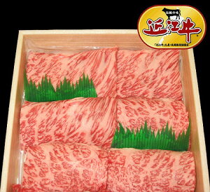 yzꌧYi ߍ] ē 500g Ⓚ /  ʔ v[g Mtg  /