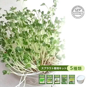 かいわれ大根 種 種の人気商品 通販 価格比較 価格 Com