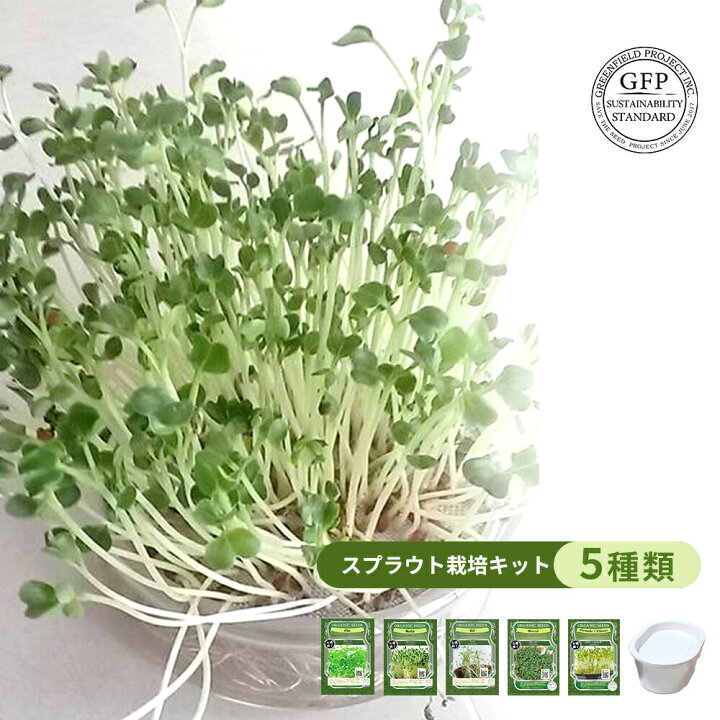 楽天市場 グリーンフィールドプロジェクト 有機種子 発芽野菜栽培キット 専用栽培容器セット 3 4回分 5種類 おうちでベジ ディル チアシード ブロッコリー ラディッシュ かいわれ大根 パクチー 家庭菜園 簡単 室内栽培 栽培キット 収穫簡単 エコ 自家栽培 オーガニック