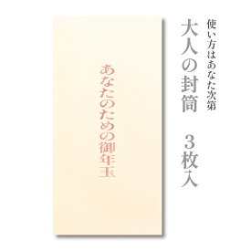 大人の封筒　あなたのための御年玉　3枚入【ぽち袋 ポチ袋 大 折らずに】【お年玉 お年玉袋 正月】