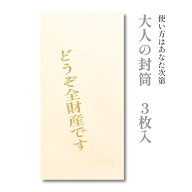 大人の封筒　どうぞ全財産です　3枚入【ぽち袋 ポチ袋 大 折らずに】【お年玉 お年玉袋 正月】