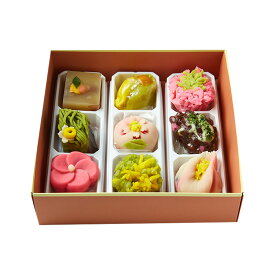 お中元 手作り 上生菓子 ギフト 練り切り むら山の宝箱 生和菓子 誕生日 高級 こだわり のし 手造り お土産 スィーツ 贈り物 季節の詰め合わせ 父の日 お中元 スイーツ 老舗 贈物 和スイーツ 個包装 かわいい お茶菓子