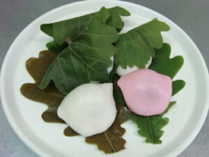 t ̗t TCY 250 Ɩp ^^Cv aَq َq ޗ    ̗t t e ƒp   pbN ܂Ƃߔ p XeCz[ 