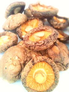 y10%OFFP2{I111:59z ő p 500g^1kg  ؂ Ɩp ƒp e  ̂ ő قVC^P قő o`    pbN 