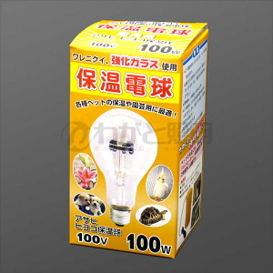 保温電球 100wの人気商品・通販・価格比較 - 価格.com