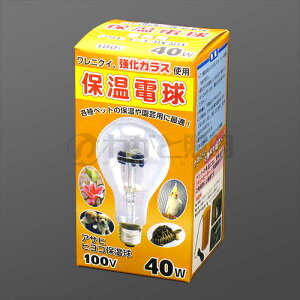 ATq@qRۉd E26 40W