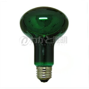 ATq@tv@ϔMJ[iN[^Cvj@60W@E26@O[iΐFj@R80 E26 110V-60W(CGT)