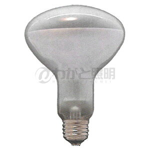 ATq@tvipj@100W@E26@R100 E26 110V-100W(NF)