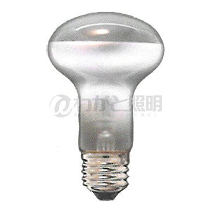 ATq@tvipj@40W@E26@R62 E26 110V-40W(NF)