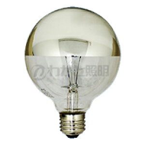 ATq@Vo[{[v@E26@a95mmiG95j@100W@T~[@G95 E26 100/110V-100WT~[