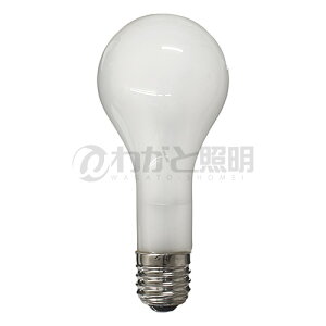 ���p�d���@�ϐU�d���@�t���X�g�@110V�p�@300W�@E39�����@PS95(�O�a95mm)�@KG110V-300W E39(F)