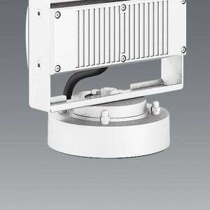 ENDO@tW@zCg@dωdl@RB374WA