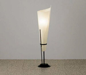 ENDO@LEDatAX^h@6500K|2700K@Fit@@tXgNvg40W`@ERF2011BB@ivʔj