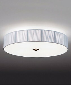 ENDO�@LED�V�[�����O���C�g�@6500K�|2700K�@Fit�@���������@�V���o�[�@���M�d��40W�`×4�����@ERG5260SB�i�����v�ʔ��j