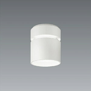 ENDO@LEDV[O_ECg@R6500^Cv@3000K@FHT42W×4@t225mm@Lp50°@ERG5526W@ivtj