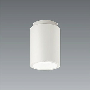 ENDO�@LED�V�[�����O�_�E�����C�g�@R1200�^�C�v�@3000K�@FHT32W�����@���t��110mm�@�g�U60°�@ERG5534W�@�i�����v�t�j