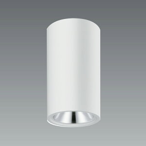 ENDO�@LED�V�[�����O�_�E�����C�g�@���t�p�@��84mm�@���@ERG5552W�i�����v�ʔ��j