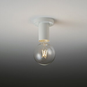 ENDO�@LED�V�[�����O���C�g�@���t�p�@2200K �d���F�@Fit�@���������@���@ERG5556W�i�����v�ʔ��j