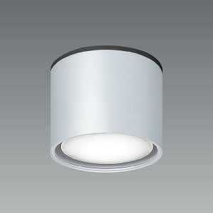 ENDO�@LED�����p�V�[�����O�_�E�����C�g�@���t�p�@��140mm�@�h�J�`�@Disk75�E100�E150�@�V���o�[�@ERG5617S�i�����v�ʔ��j