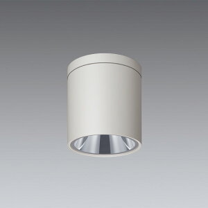 ENDO�@LED�V�[�����O�_�E�����C�g�@���t�p�@��140mm�@Disk75�E100�E150�@���@ERG5619W�i�����v�ʔ��j