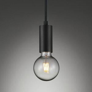 ENDO@LEDy_g@95{[40W`@z_Ng[p@2200K dF@@ERP7511B@ivʔj