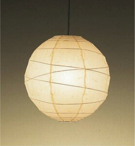 ENDO@LEDaƖ@y_gCg@|V[O@M60W`@ERP7241NC@ivʔj