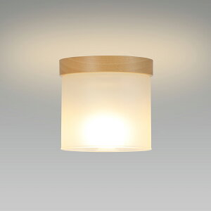 z^NX@LED^V[OCg@V䒼t@[q\Pbg@2700K@dF@^d40W×1@SXM-LE171754L