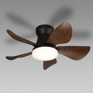 z^NX@LEDV[Ot@@V䒼t@ȈՎt@6500K[2700K@FEEؑց@`6@LED铔@z^bN@\@|F@SXZF-06863KRCSG