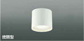 KOIZUMI　LED防雨防湿型シーリング　白熱電球100W相当　（ランプ付）　昼白色　5000K　AU54784