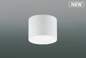 KOIZUMI@LED^V[O@Md100W@ivtj@F@5000K@pΉ@AH54211