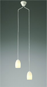 KOIZUMI@LEDVfA@t^Cv@Md60W×2@(vt)@dF@2700K@AP40021L