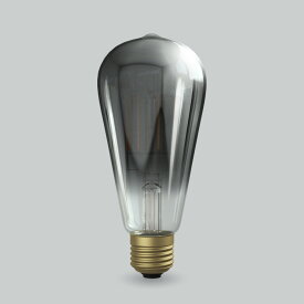 ビートソニック　OnlyOne(オンリーワン)　LED電球　Siphon(サイフォン)　エジソン電球形　EDISON　20W形相当　暖系電球色(2200K)　E26　6.0W　200lm　ブラッククリアガラス(黒加飾)　LDF95D