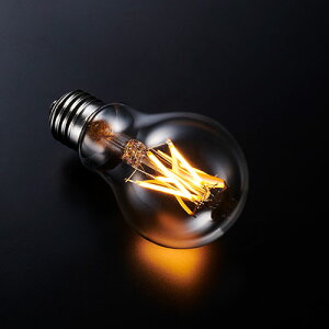 MAXRAY@LEDd @tBg^Cv@ʓd`@S^Cv@2D5W@ԌndFi2200Kj@E26@ʓd20W`@S300lm@pΉ@ME99215-87(LDA3L-G/D/22/6A)