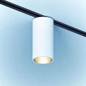 MAXRAY@V[OCg@z_Ng[p@TUTU Ceiling@vOdl@}bgzCg@E11pivʔj@ML30141-01(OP01688+OP0168901)