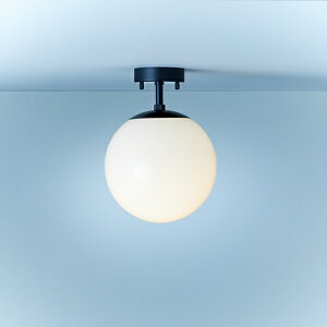 MAXRAY@VƖ@V[OCg@Orb Ceiling/I[u@V[OV[Y@ubNij@t^Cv@1@E26pivʔj@O[uTCYF203mm@́@KX