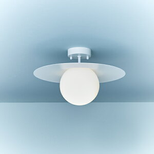 MAXRAY@VƖ@V[OCg@Orb Plate Ceiling/I[u@v[gV[OV[Y@}bgzCg@t^Cv@1@E17pivʔj@́@KXO[u@ML3