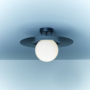 MAXRAY@VƖ@V[OCg@Orb Plate Ceiling/I[u@v[gV[OV[Y@ubNij@t^Cv@1@E17pivʔj@́@KXO[u@ML3