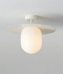 MAXRAY@Orb(al)Plate/I[ov[g@150@V[OCg@t@ǎt@zCg()@E17@vʔ@ML30156-01(OP0171601+OP01737)