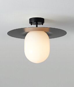 MAXRAY@Orb(al)Plate/I[ov[g@150@V[OCg@t@ǎt@ubN()@E17@vʔ@ML30156-02(OP0171602+OP01737)