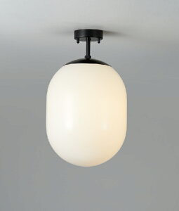 MAXRAY@Orb(al)/I[o@250@V[OCg@t@ubN()@E26@vʔ@ML30175-02(OP0171202+OP01739)