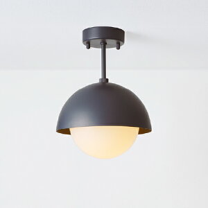 MAXRAY@Orb COMBI CEILING/I[uRrV[O@V[OCg@t^Cv@}bg_[NO[@E17@vʔ@ML30180-24(OP0174824+OP01731)