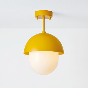 MAXRAY@Orb(al) COMBI CEILING/I[oRrV[O@V[OCg@t^Cv@}bgCG[I[J[@E17@vʔ@ML30181-55(OP0174855+OP01737)