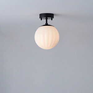 MAXRAY@Orb series Rib/I[uV[Y@u@V[OCg@150@t@ubN@E17@vʔ@ML30190-02(OP01710+OP01754)