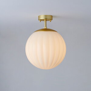 MAXRAY@Orb series Rib/I[uV[Y@u@V[OCg@250@t@S[h@E26@vʔ@ML30192-38(OP01712+OP01756)