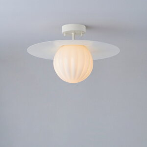 MAXRAY@Orb series Rib/I[uV[Y@u@v[gV[OCg@150@t@zCg@E17@vʔ@ML30196-01(OP01716+OP01754)