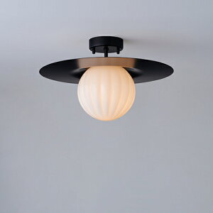 MAXRAY@Orb series Rib/I[uV[Y@u@v[gV[OCg@150@t@ubN@E17@vʔ@ML30196-02(OP01716+OP01754)