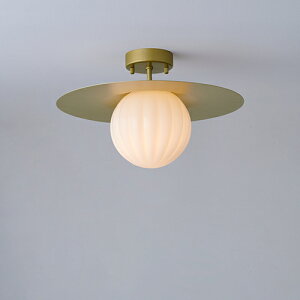 MAXRAY@Orb series Rib/I[uV[Y@u@v[gV[OCg@150@t@S[h@E17@vʔ@ML30196-38(OP01716+OP01754)