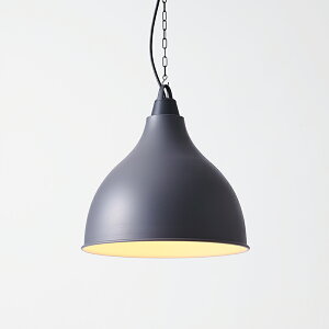 MAXRAY@CRAFT LAMP Eggplant L CHAIN PENDANT/Ntgv GbOvgL@y_gCg@|V[O@Te`R[O[@E26@vʔ@MP40642-25(OP0169524+OP0170225)