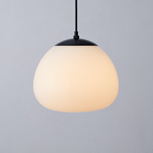 MAXRAY@Orb series Korb/I[uV[Y@R[u@y_gCg@250@|V[O@ubN@E26@vʔ@MP40675-02